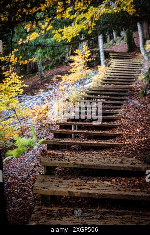 Tejeda de Tosande. Fuentes Carrionas Naturpark, Fuente Cobre - Palentina Berg. Palencia, Spanien Stockfoto