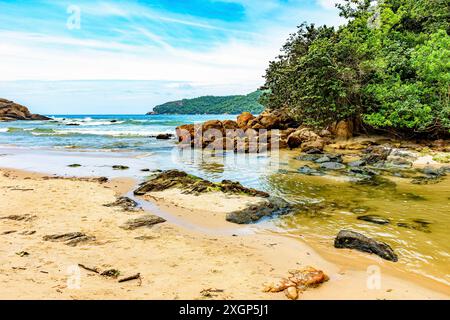 Fluss fließt in den Strand zwischen dem Meer, den Felsen und dem Regenwald in Trindade Küste südlich des Staates Rio de Janeiro Stockfoto