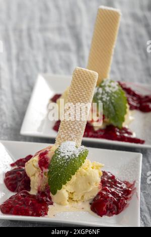 Vanilleeis mit heißer Himbeersauce Stockfoto