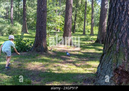 Junge im Wald schleicht sich an Waldbewohner und bietet ihnen Essen an. Taube und Eichhörnchen in der Räumung. Kommunikation mit der Natur. Urlaub auf dem Land. Stockfoto