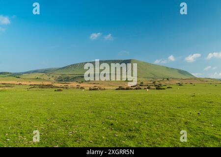 Früher Abend mit klarem Frühlingshimmel über Hay Bluff, Hay on Wye Powys Wales UK, Mai 2024 Stockfoto