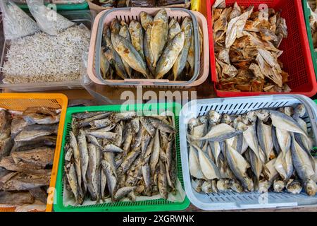 Verschiedene fermentierte, gesalzene Fische im Angebot, ordentliches Layout für Kunden zur Auswahl. Eine Delikatesse in Südostasien. Geylang Serai Markt. Singapur Stockfoto