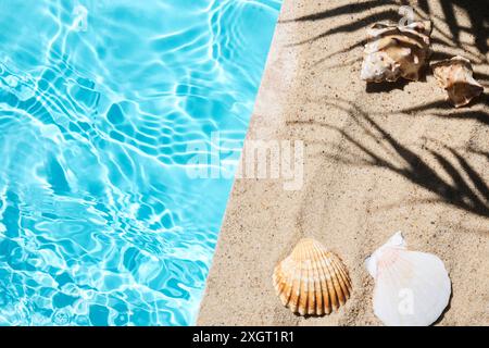 Muscheln am Pool. Muscheln auf einer sandigen Oberfläche neben einem hellblauen Poolwasser, im Schatten der Pflanzen. Stockfoto