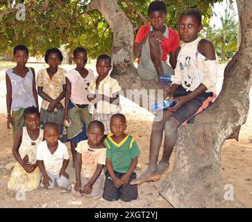 Ligogo-Kinder mit Baumjungen, Ligogo, Inhambane, Mosambik. Stockfoto