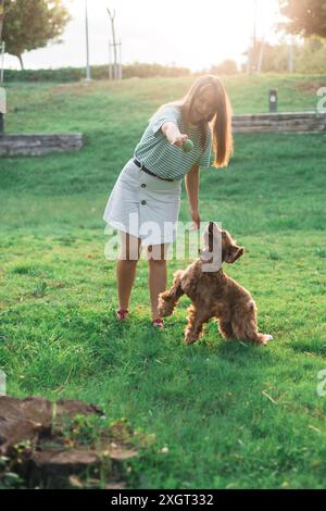 cocker Spaniel Hund, der Spaß hat und mit der jungen schönen Frau spielt Stockfoto