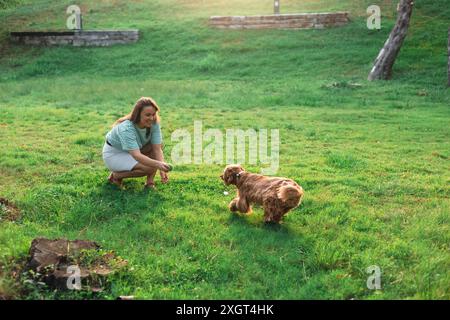 cocker Spaniel Hund, der Spaß hat und mit der jungen schönen Frau spielt Stockfoto