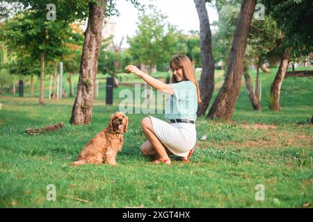 cocker Spaniel Hund, der Spaß hat und mit der jungen schönen Frau spielt Stockfoto