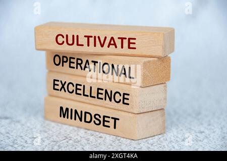 Kultivieren Sie Text für die Einstellung von Operational Excellence auf Holzblöcken. Operational Excellence-Konzept. Stockfoto