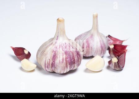 Frischer Knoblauch auf weißem Hintergrund, Knoblauchköpfe und -Nelken Stockfoto