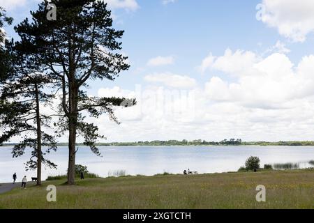 Lough Ennell auf dem Gelände des Belvedere House and Gardens in County Westmeath, Irland. Stockfoto