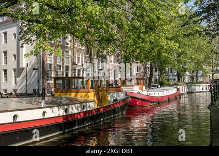 Hausboote säumen eine Seite eines Kanals an einem sonnigen Tag in Amsterdam, Niederlande. Stockfoto