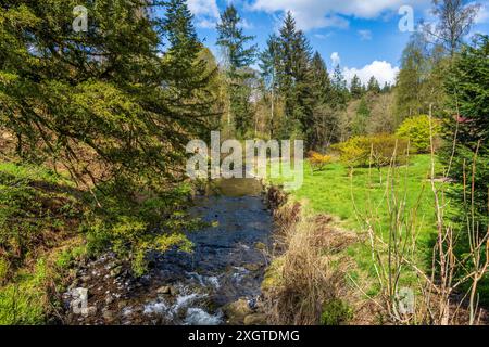 Blick auf Marr Burn, der durch den Wald von Drumlanrig Castle und Gardens in der Nähe von Thornhill in Dumfries and Galloway, Schottland, Großbritannien verläuft Stockfoto