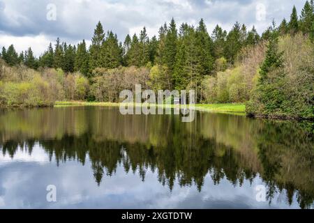 Bootshaus am Coldstream Loch und Drumlanrig Woods in Drumlanrig Castle and Gardens in der Nähe von Thornhill in Dumfries and Galloway, Schottland, Großbritannien Stockfoto