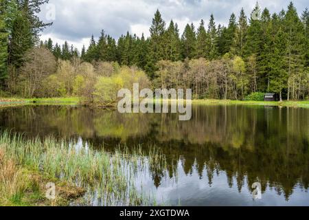 Bootshaus am Coldstream Loch und Drumlanrig Woods in Drumlanrig Castle and Gardens in der Nähe von Thornhill in Dumfries and Galloway, Schottland, Großbritannien Stockfoto