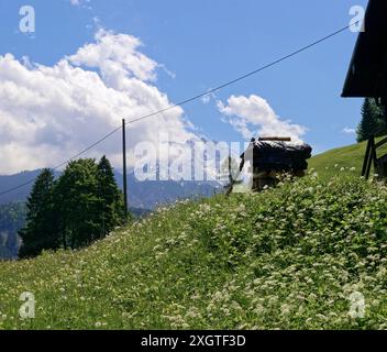 Blick auf die Berge, im Vordergrund ein Holzhaufen auf einer Bergwiese, rechts eine Hütte. Stockfoto