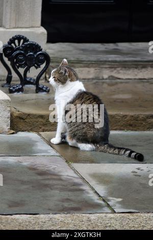 Larry the Cat in Downing Street beobachtete, wie der neue Premierminister Keir Starmer nach dem Sieg bei den Parlamentswahlen 2024 eine Rede hielt. Stockfoto