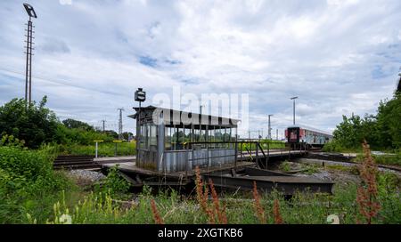 10. Juli 2024, Bayern, Donauwörth: Gras und Kräuter wachsen rund um die alte Drehscheibe am Bahnhof. Foto: Stefan Puchner/dpa Stockfoto