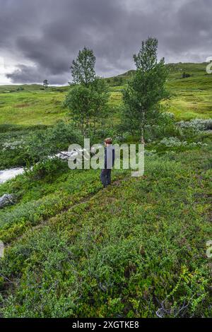 Ein junger Wanderer steht auf einem Wanderweg mit Blick auf einen klaren Bergbach, der sich durch eine üppige nordische Tundra-Landschaft von Oppdal Norwegen schlängelt Stockfoto