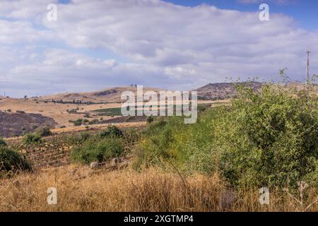 Die hügelige Landschaft im Gebiet der Golanhöhen, Galiläa, mit den israelischen Siedlungen, Bauernhöfen und Graslandschaft. Stockfoto