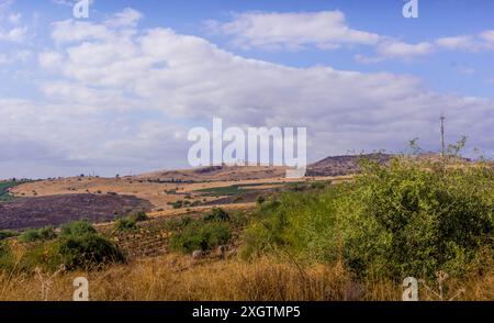 Die hügelige Landschaft im Gebiet der Golanhöhen, Galiläa, mit den israelischen Siedlungen, Bauernhöfen und Graslandschaft. Stockfoto