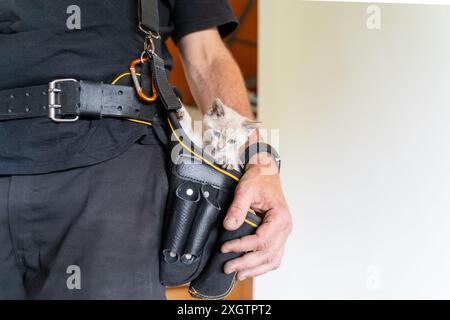 Ein neugieriges Kätzchen blickt aus einem Werkzeuggürtelbeutel, der von einem anonymen Mann gehalten wird, und zeigt eine einzigartige Mischung aus Arbeit und Haustierpflege Stockfoto