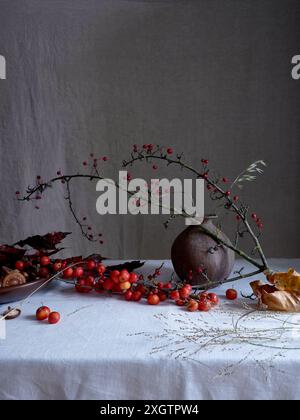 Ein stimmungsvolles und künstlerisches Stillleben-Arrangement mit winzigen roten Krabbenäpfeln, Shiitake-Pilzen und einer faszinierenden Vase. Gegen einen grauen, drapierten Rücken Stockfoto