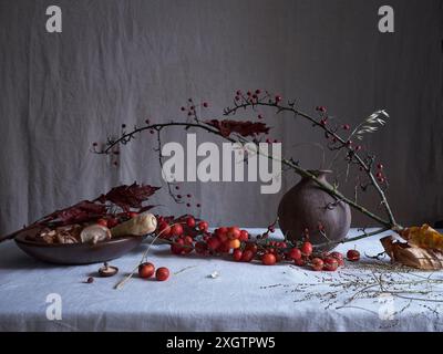 Ein stimmungsvolles und künstlerisches Stillleben-Arrangement mit winzigen roten Krabbenäpfeln, Shiitake-Pilzen und einer faszinierenden Vase. Gegen einen grauen, drapierten Rücken Stockfoto