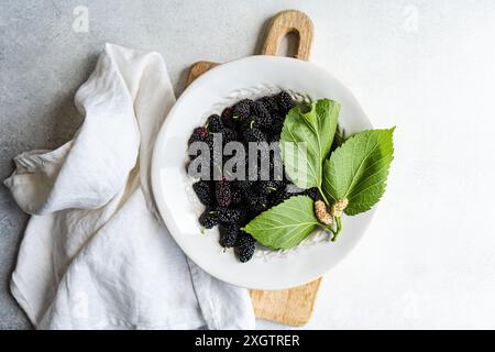 Blick von oben auf reife Maulbeeren in einem weißen Gericht, ergänzt durch leuchtend grüne Blätter und eine dezente Kulisse. Ideal für Lebensmittel- und Ernährungsthemen. Stockfoto