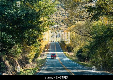 Autotour auf Asphaltstraße mit gelben Waldbäumen im Herbst auf der Südinsel Neuseelands Stockfoto