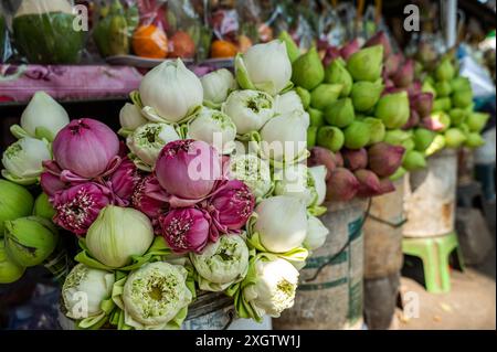 Lebendige Ausstellung von Lotusblüten mit rosa und weißen Blüten auf einem geschäftigen Straßenmarkt in Bangkok, die dem Bus eine natürliche, farbenfrohe Note verleihen Stockfoto