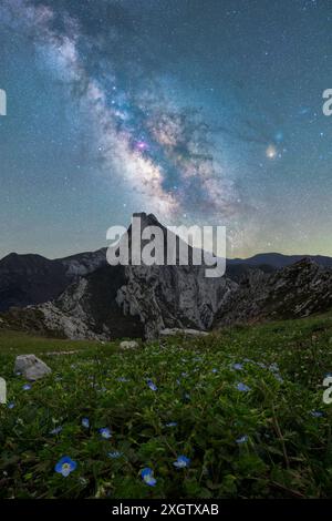 Ein atemberaubender Blick auf die Milchstraße, die sich über einem zerklüfteten Berggipfel erhebt, umgeben von blühenden blauen Blumen im Pueblo de Sotres, Asturias, Spa Stockfoto