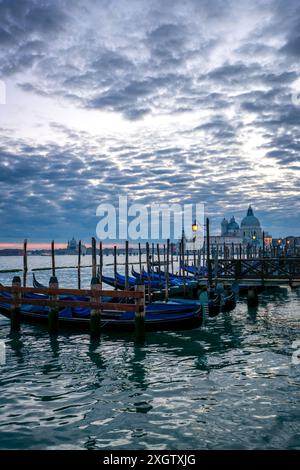 Blick am frühen Morgen auf das ruhige Wasser Venedigs, mit Gondeln entlang der San Marco Bucht mit der berühmten Basilika Santa Maria della Salute illumi Stockfoto