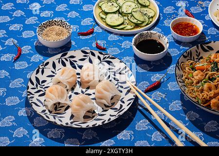 Vielfältige Auswahl an chinesischer Küche, mit Knödeln, Gurken in Essig, scharfen Saucen und gebratenen Nudeln, attraktiv angeordnet auf einem blauen flo Stockfoto