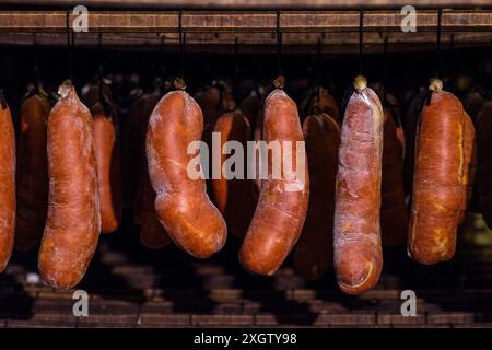 Das Bild zeigt mehrere Reihen Sobrasada-Würstchen, eine Art gepökeltes Fleisch von den Balearen, das in einer Räucherei reift. Stockfoto