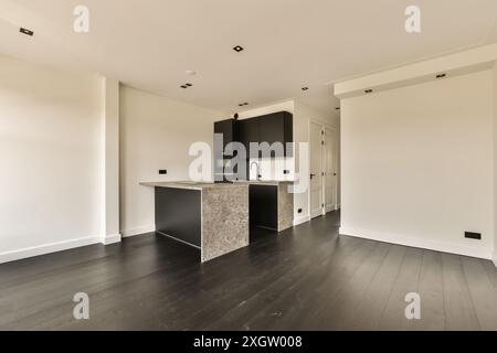 Offen gestaltetes Apartment mit eleganter Küche mit dunklen Schränken und kontrastierenden weißen Wänden. Stockfoto