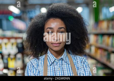 Selbstbewusste junge Frau mit lockigem Haar, die ein kariertes Hemd und eine Schürze trägt und in einem Lebensmittelgeschäft arbeitet. Der Hintergrund zeigt die Regale des Stores mit verschiedenen Produkten. Steht für Einzelhandel, Kundendienst Stockfoto