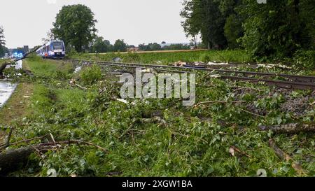 Eine breite Unwetterfront sorgt seit den Nachmittagsstunden für Chaos in Oberbayern. Besonders schlimm trifft es Holzkirchen und Umgebung. Orkanböen und heftiger Starkregen sorgten hier für viele Schäden. Umgestürzte Bäume blockierten viele Straßen. Autofahrer halfen sich teilweise selbst, da die Rettungskräfte zu viele Einsatzstelle abarbeiten müssen. Der Starkregen und gesättigte Boden verursachte außerdem Sturzfluten und Murenabgänge. Diese blockierten auch Straßen. In Holzkirchen kam Feuerwehren aus anderen Gemeinden zum Einsatz. Nahezu an jeder Straßenecke liegt umkippte Bäume. Ein Stockfoto