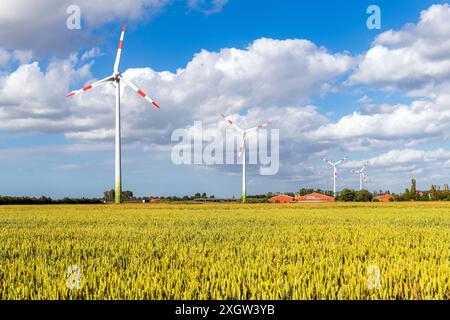 Windturbinen im Weizenfeld zwischen Oostende und Brügge, Belgien. Konzept sauberer Energie und Ökologie in Zeiten des Klimawandels. Stockfoto