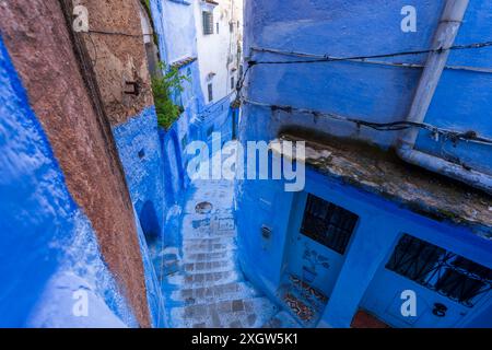 Unter klarem Himmel sind die Chefchaouen-Gassen ein Labyrinth aus Wänden und Treppen in verschiedenen Blautönen. Chefchaouen, Marokko. Stockfoto