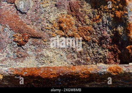 Ein rostiges Stück Metallträger wurde am Strand gefunden Stockfoto