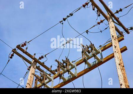 Versorgungsmasten aus Holz und Stromleitungen vor klarem blauem Himmel, Tiefwinkelansicht Stockfoto