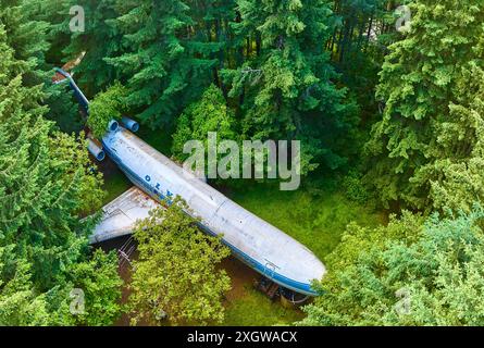 Aerial Tilt eines verlassenen Flugzeugs im üppigen Oregon Forest Stockfoto