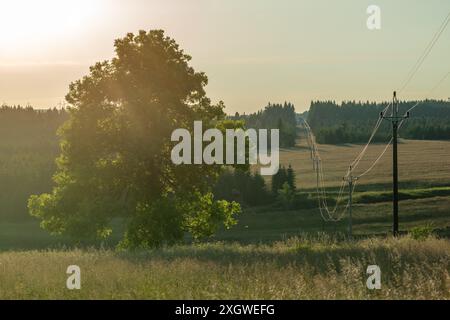 Landschaft in der Nähe der Stadt Hora Svateho Sebestiana vor Sonnenuntergang am heißen Sommertag Stockfoto