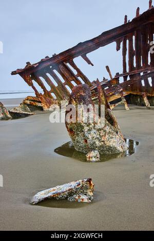 Verrostetes Schiffswrack von Peter Iredale an der Oregon Coast Low Perspective Stockfoto