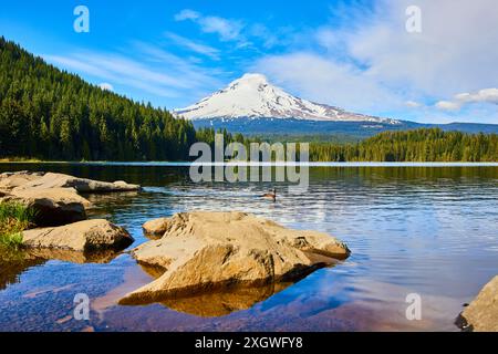 Ruhiger See mit Mount Hood und Wald in ruhiger Tagessicht Stockfoto