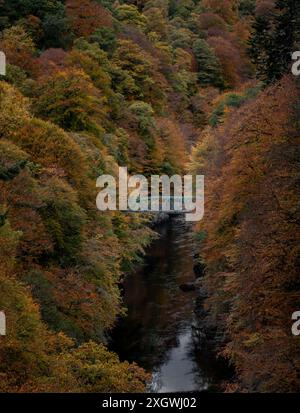 Fußgängerbrücke über die Schlucht des Flusses Garry bei Linn of Tummel, Schottland, umgeben von dichten Wäldern in herbstlichen Farben Stockfoto