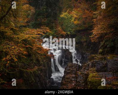 Atmosphärisches Zeitlupenbild eines Wasserfalls, umgeben von Felsen und Bäumen in Herbstfarben in der Eremitage in der Nähe von Dunkeld in Perthshire, Schottland Stockfoto