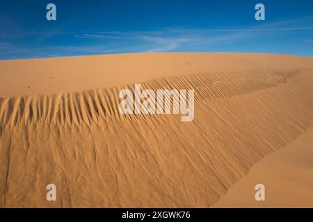 Wunderschöne Dünen des Slowinski-Nationalparks an der Ostsee, Leba. Polen Stockfoto