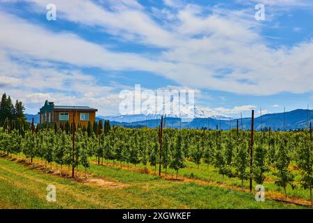 Mount Hood Orchard Farmhouse mit Blick auf Snowy Peak Stockfoto