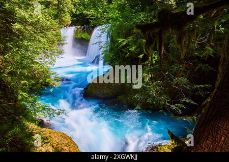 Dynamische Doppelwasserfälle im üppigen Columbia Gorge Forest, erhöhte Aussicht Stockfoto